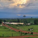 Raphael Imóveis Premium Rural Fazendas, Chacaras, Condominio luxo alto padrão Sinop, Campo Grande, Nortão, corretor de seguros, cote seguro