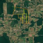 Raphael Imóveis Premium Rural Fazendas, Chacaras, Condominio luxo alto padrão Sinop, Campo Grande, Nortão, corretor de seguros, cote seguro