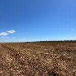 Raphael Imóveis Premium Ruralm Fazendas, Chacaras, Condominio luxo alto padrão Sinop, Campo Grande, Nortão, corretor de seguros, cote seguro (11)