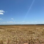 Raphael Imóveis Premium Ruralm Fazendas, Chacaras, Condominio luxo alto padrão Sinop, Campo Grande, Nortão, corretor de seguros, cote seguro (14)