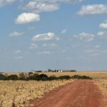 Raphael Imóveis Premium Ruralm Fazendas, Chacaras, Condominio luxo alto padrão Sinop, Campo Grande, Nortão, corretor de seguros, cote seguro (16)