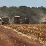 Raphael Imóveis Premium Ruralm Fazendas, Chacaras, Condominio luxo alto padrão Sinop, Campo Grande, Nortão, corretor de seguros, cote seguro 18