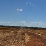 Raphael Imóveis Premium Ruralm Fazendas, Chacaras, Condominio luxo alto padrão Sinop, Campo Grande, Nortão, corretor de seguros, cote seguro (4)