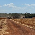 Raphael Imóveis Premium Ruralm Fazendas, Chacaras, Condominio luxo alto padrão Sinop, Campo Grande, Nortão, corretor de seguros, cote seguro (5)