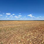 Raphael Imóveis Premium Ruralm Fazendas, Chacaras, Condominio luxo alto padrão Sinop, Campo Grande, Nortão, corretor de seguros, cote seguro (7)