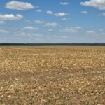 Raphael Imóveis Premium Ruralm Fazendas, Chacaras, Condominio luxo alto padrão Sinop, Campo Grande, Nortão, corretor de seguros, cote seguro (8)