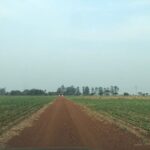 Raphael Imóveis Premium Ruralm Fazendas, Chacaras, Condominio luxo alto padrão Sinop, Campo Grande, Nortão, corretor de seguros, cote seguro
