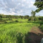 Raphael Imóveis Premium Ruralm Fazendas, Chacaras, Condominio luxo alto padrão Sinop, Campo Grande, Nortão, corretor de seguros, cote seguro