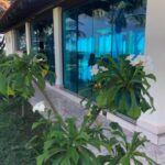 Raphael Imóveis Premium Ruralm Fazendas, Chacaras, Condominio luxo alto padrão Sinop, Campo Grande, Nortão, corretor de seguros, cote seguro