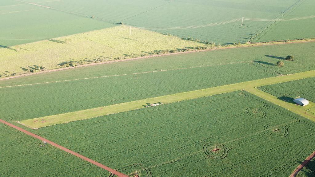Raphael Imóveis Premium Rural Fazendas, Chacaras, Condominio luxo alto padrão Sinop, Campo Grande, Nortão, corretor de seguros, cote seguro