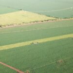Raphael Imóveis Premium Ruralm Fazendas, Chacaras, Condominio luxo alto padrão Sinop, Campo Grande, Nortão, corretor de seguros, cote seguro