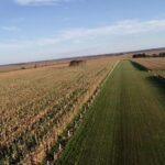 Raphael Imóveis Premium Ruralm Fazendas, Chacaras, Condominio luxo alto padrão Sinop, Campo Grande, Nortão, corretor de seguros, cote seguro